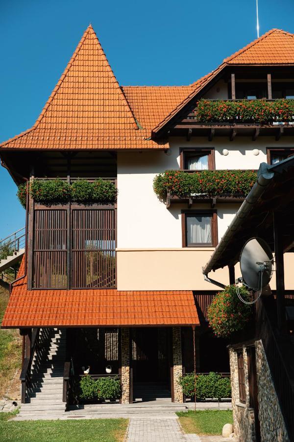 Villa Gherman Salciua de Jos Bagian luar foto