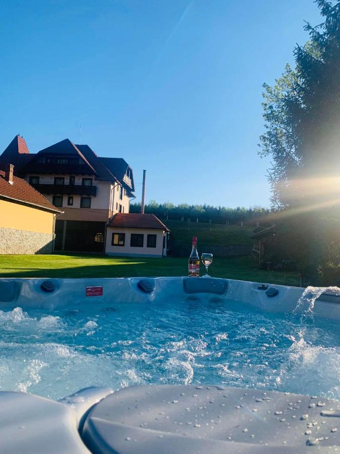 Villa Gherman Salciua de Jos Bagian luar foto